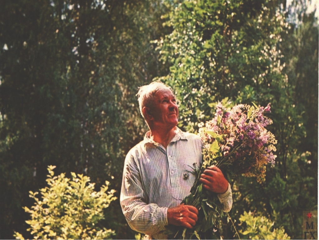 Фотография. А.А. Пластов с букетом полевых цветов. Вторая половина 1960х гг. Прислониха.jpg